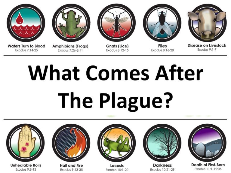 What Comes After The Plague? – North Second Street Church of Christ